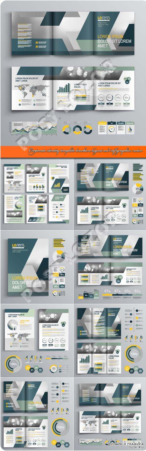 Corporate identity template brochure layout and infographics vector