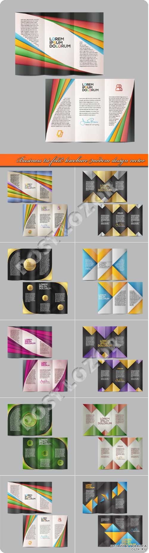 Business tri-fold brochure modern design vector