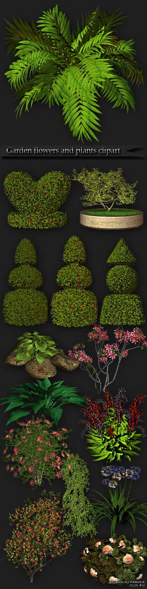 Garden flowers and plants clipart PNG
