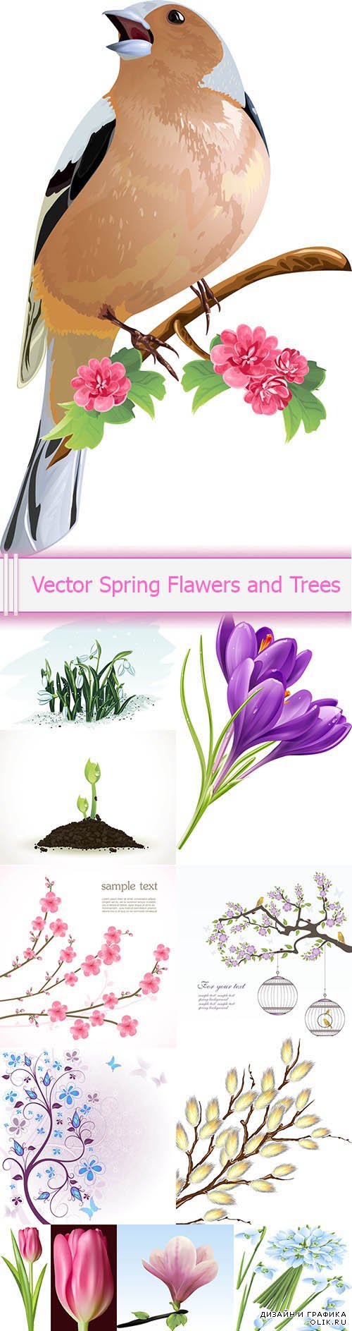 Vector Spring Flawers and Trees