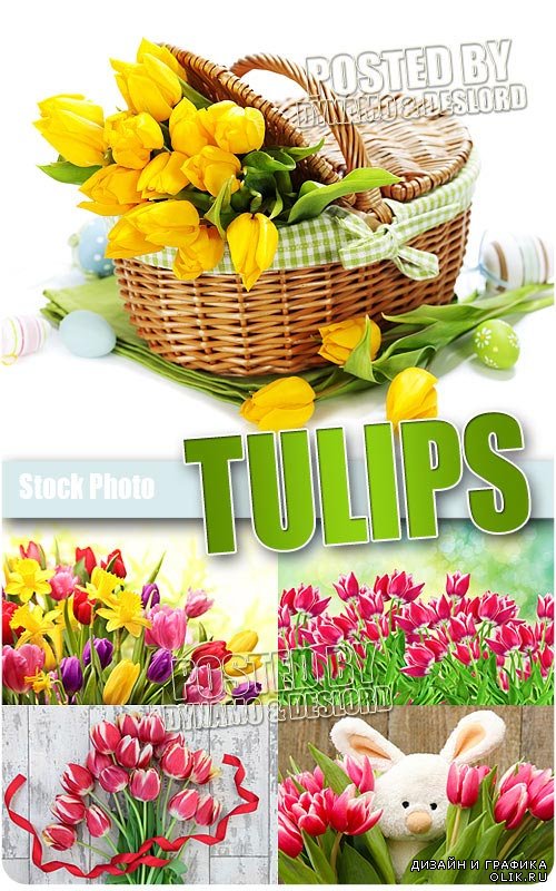 Тюльпаны 2 - Растровый клипарт