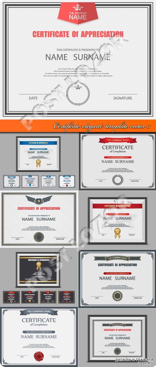 Certificate elegant template vector 5