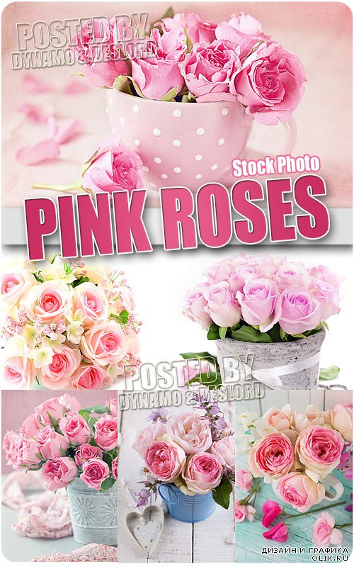 Розовые розы - Растровый клипарт