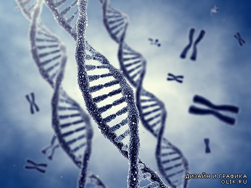 Растровый клипарт - ДНК
