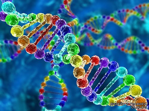 Растровый клипарт - ДНК