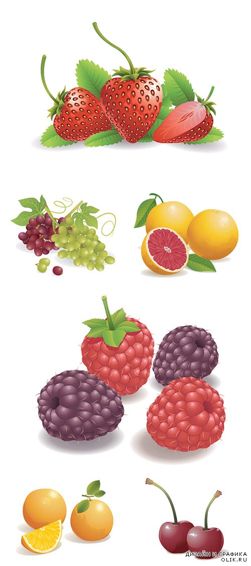 Векторный клипарт - Нарисованные фрукты 2