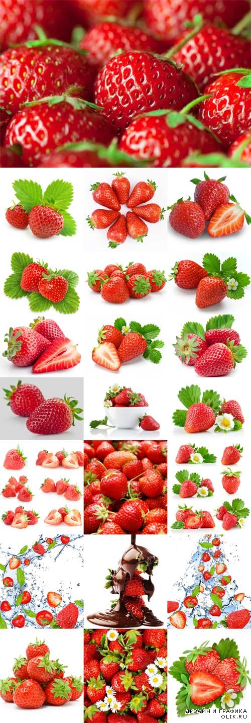 Ripe juicy strawberries