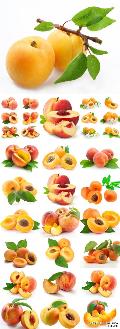 Ripe apricots and peaches
