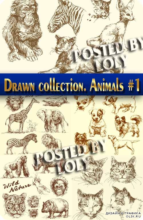 Рисованная коллекция. Животные #1 - Векторный клипарт