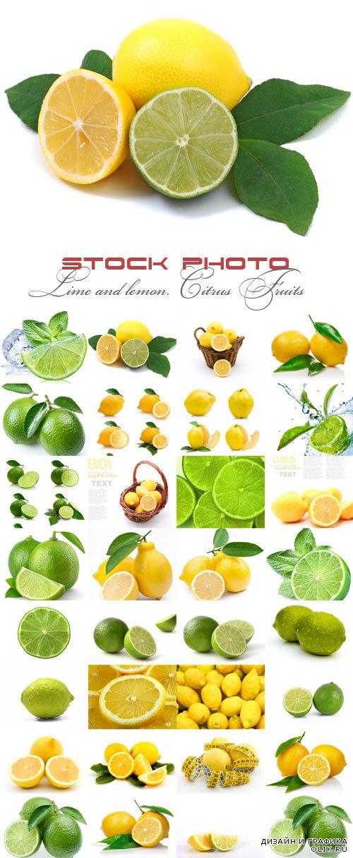 Lime and lemon. Сitrus Fruits