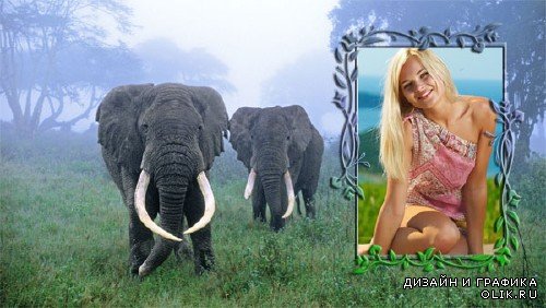 Рамка для фото со слонами