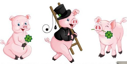 Забавные розовые отрисованные свинки - во фраке, с цветочком - картинки для дизайна
