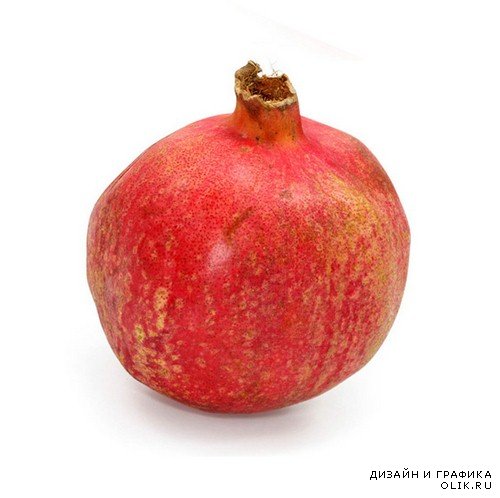 Гранат и его плоды (подборка изображений)
