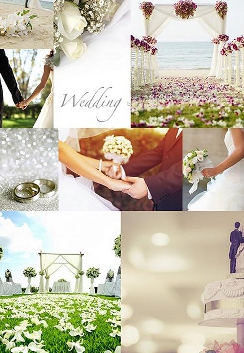 Свадебные фотографии - кольца, пляж, невеста, жених, белые розы