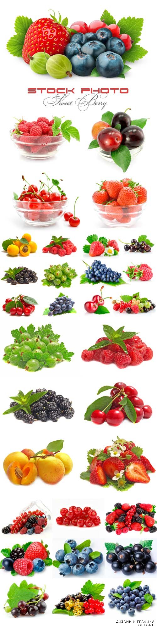 Sweet Berry raster graphics