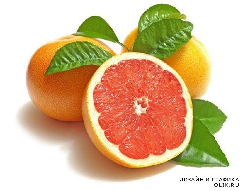 Апельсин и мандарин (подборка изображений цитрусовых)