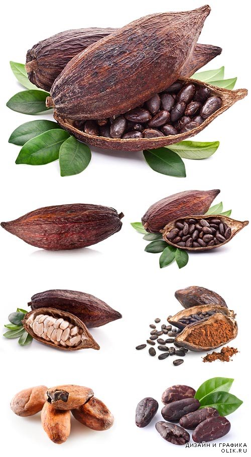 Какао бобы - растровый клипарт