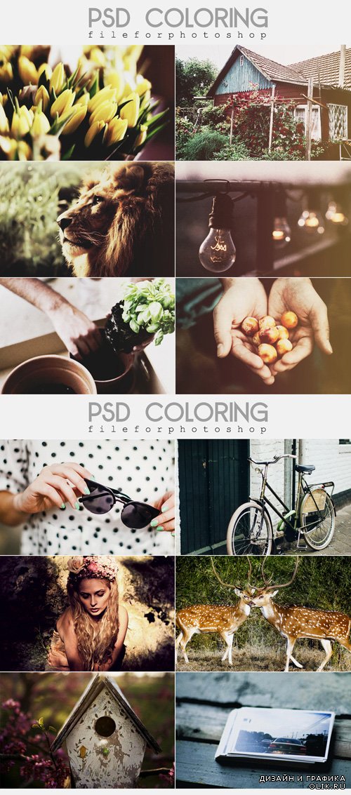 Эффекты для PHSP - Цветовая обработка фотографии, часть 44