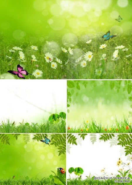 Бабочки в траве