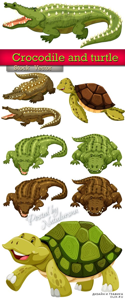 Крокодилы и черепахи  в Векторе 