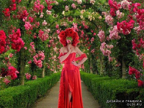  Шаблон для девушек - В красном платье в аллее роз 