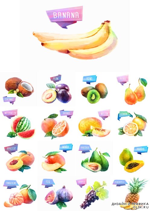 Фрукты нарисованные акварелью - Бананы, апельсины, лимоны, дыни, арбуз, груши