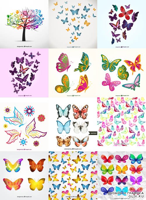 Colorful Butterflies Graphics set 1