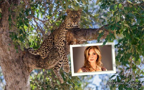  Рамка для фотографии - Красивый леопард на дереве 