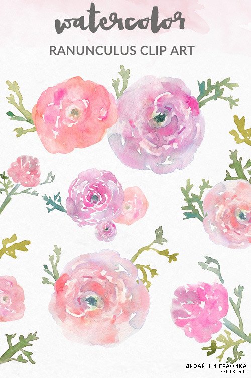 Watercolor Flowers Makes PNG