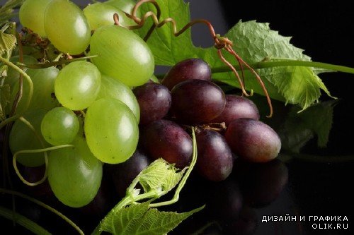 Виноград и виноградные гроздья (подборка изображений)