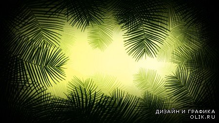 Футаж - Пальмовые ветви
