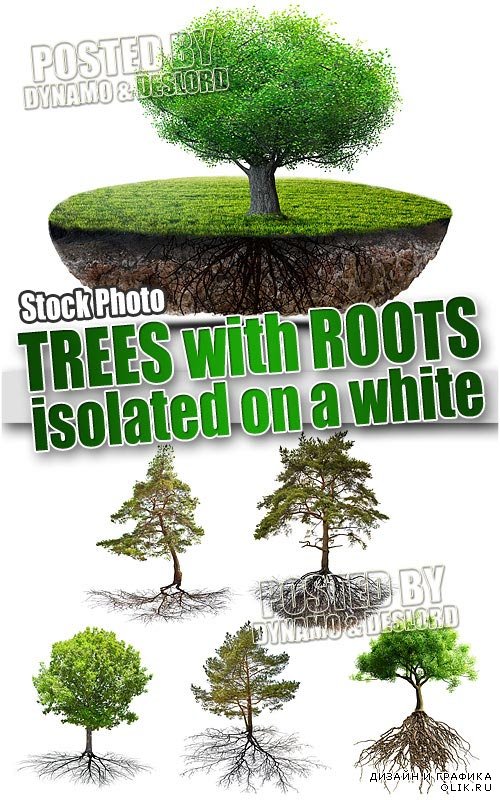 Деревья с корнями на белом фоне - Растровый клипарт