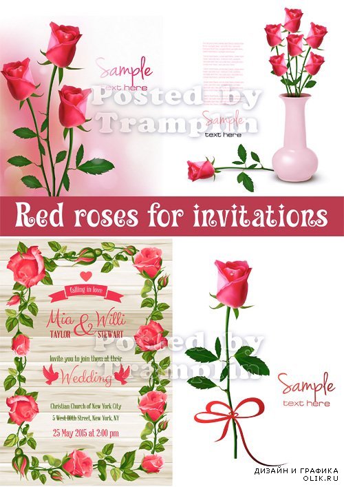 Розы в векторе для пригласительных и открыток