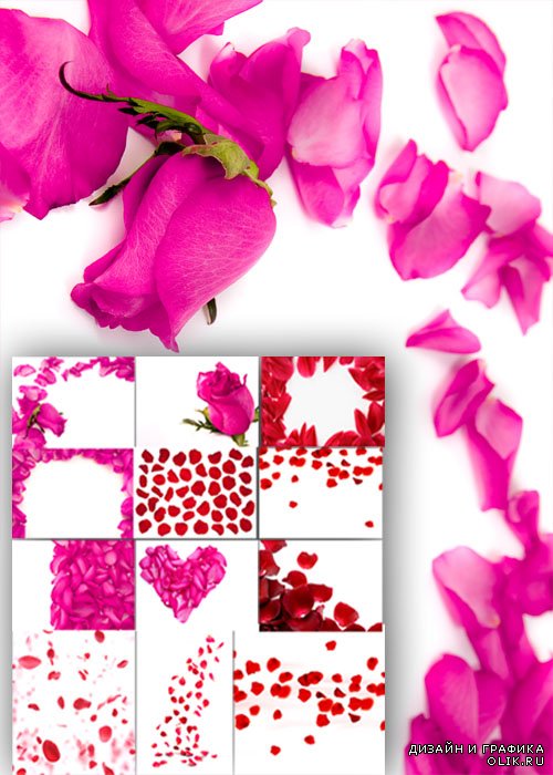 Лепестки роз |Rose petals Graphics
