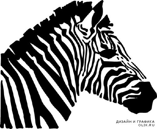 Зебра (животные в векторе)
