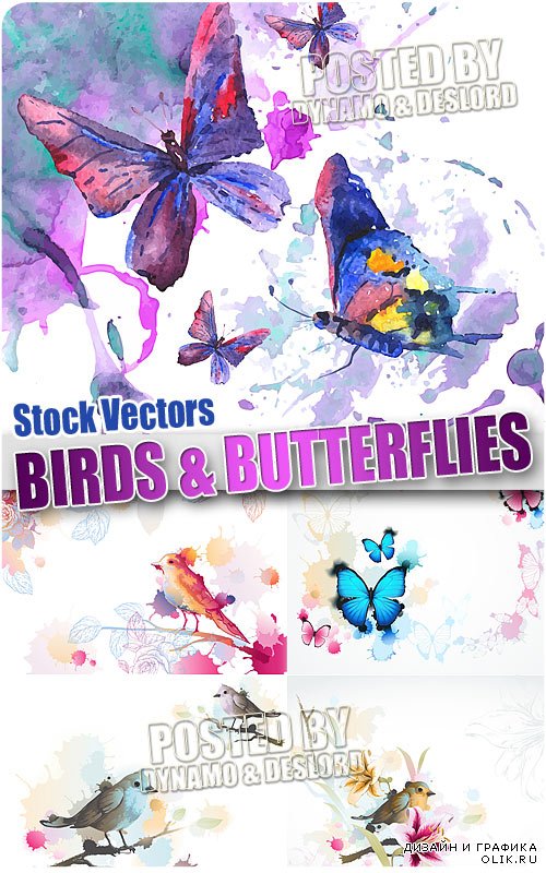 Птицы и бабочки - Векторный клипарт