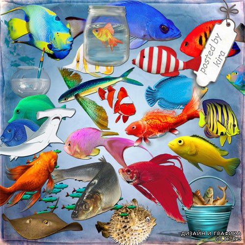 Морской клипарт - Разнообразные рыбки, акулы, аквариумы