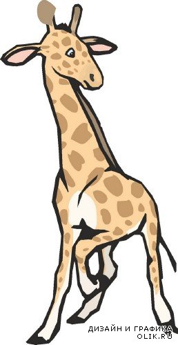 Жираф (животные в векторе)