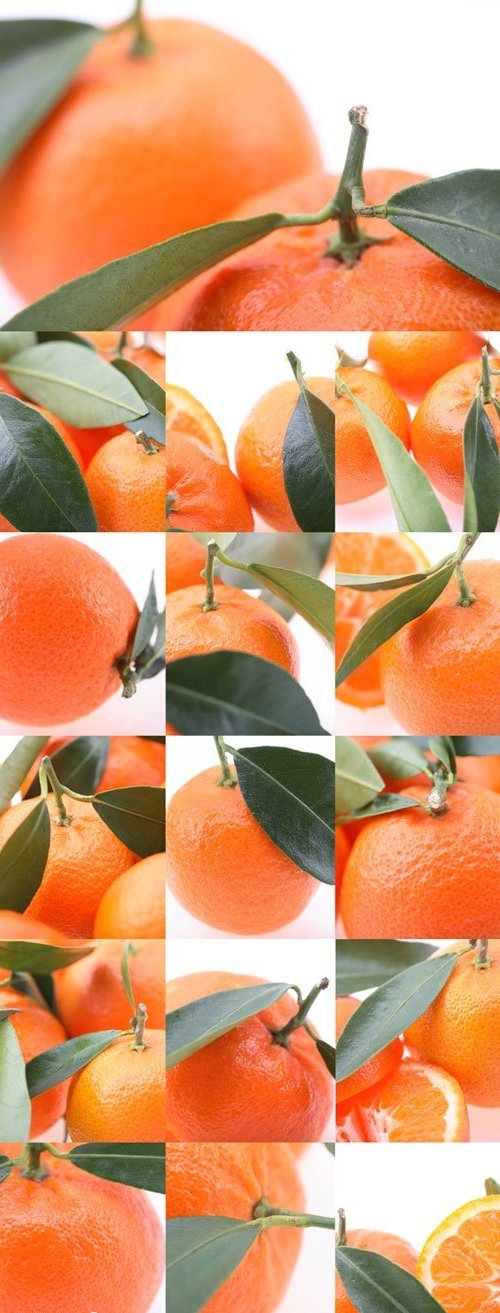 Картинки сочные апельсины на белом фоне - растровый формат JPG