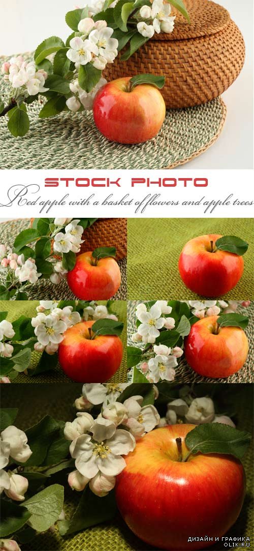 Красное яблоко, корзина и цветы яблони