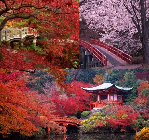 Пейзажи Японии и Китая - цветение сакуры, разноцветие листвы, мостики, домики