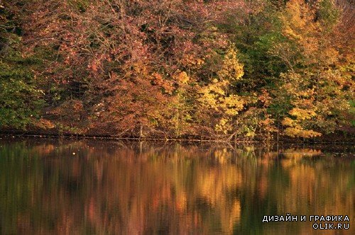Осенние пейзажи (подборка изображений)