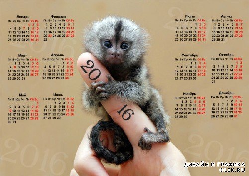 Календарь настенный - Милая обезьянка
