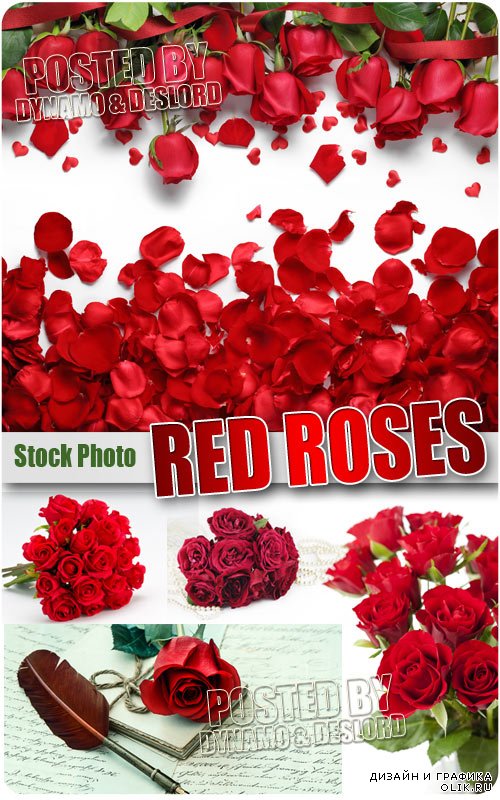 Красные розы - Растровый клипарт