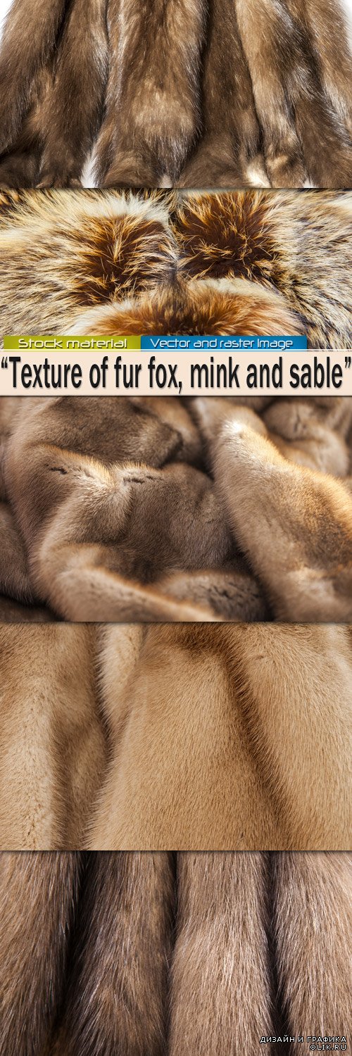 Текстура меха рыжей лисы, норки и соболя