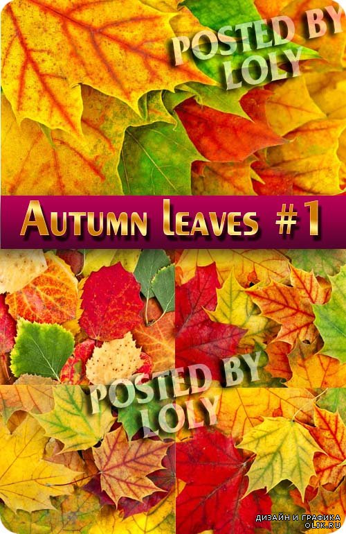 Осенние листья # 1 - Растровый клипарт