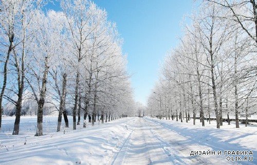 Ясный зимний день (подборка фото пейзажей)
