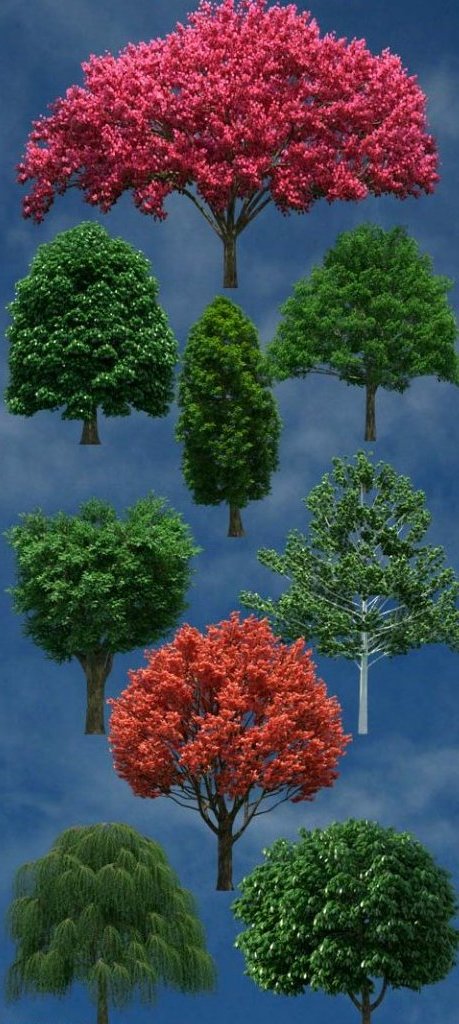 Набор деревьев на прозрачном фоне - кроны красные и зеленые
