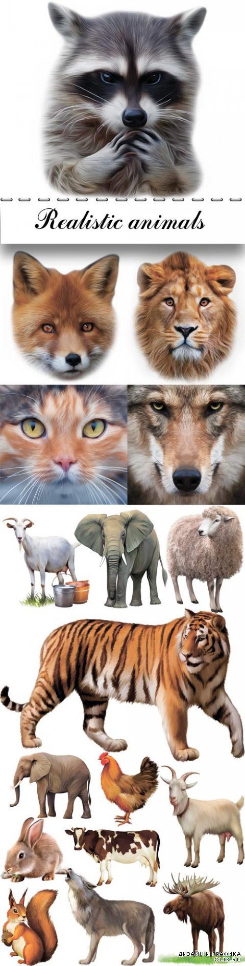 Realistic animals vector design