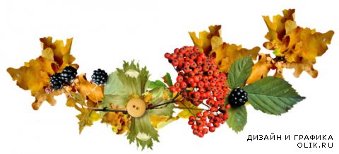 Осенние эскизы – сборник композиций с цветами и осенними листьями